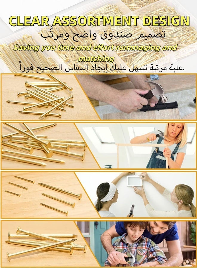FAVZCBVIN Nail Assortment Kit, 200 Pcs Premium Picture Hanging Nails Assortment Kit, 4 Size Wall Hanging Set for Frame Art Photo, Long and Small Nails Gold Finishing Nails | For Wall Frames, Art, Mirrors & Home Decor - Image 3